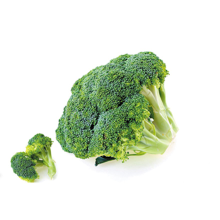 产品中心标题一