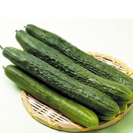 产品中心标题五