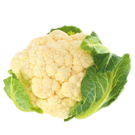 产品中心标题四