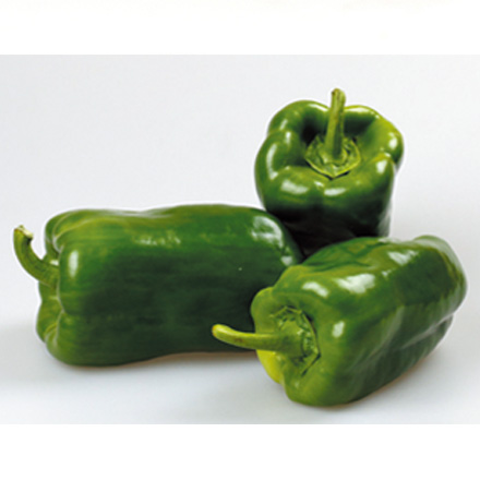 产品中心标题九