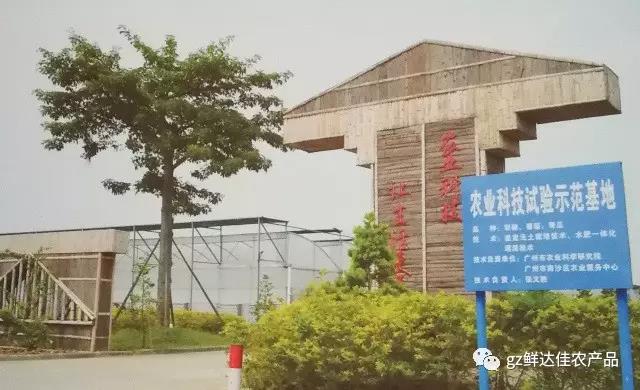 南沙农业生产免费91桃色污网站下载APP